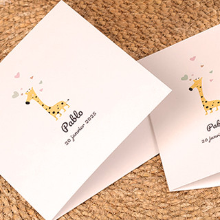 Faire-part de naissance
